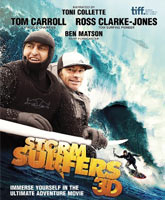 Storm Surfers 3D /  